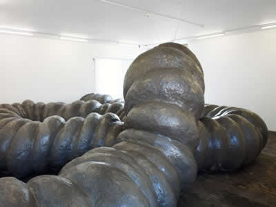 Tennesse wiggler the big fat worm aka le lombric cosmique - KLAT